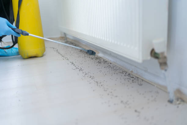 Best Local Pest Control Services  in Milbank, SD