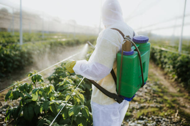 Best Residential Pest Control  in Milbank, SD